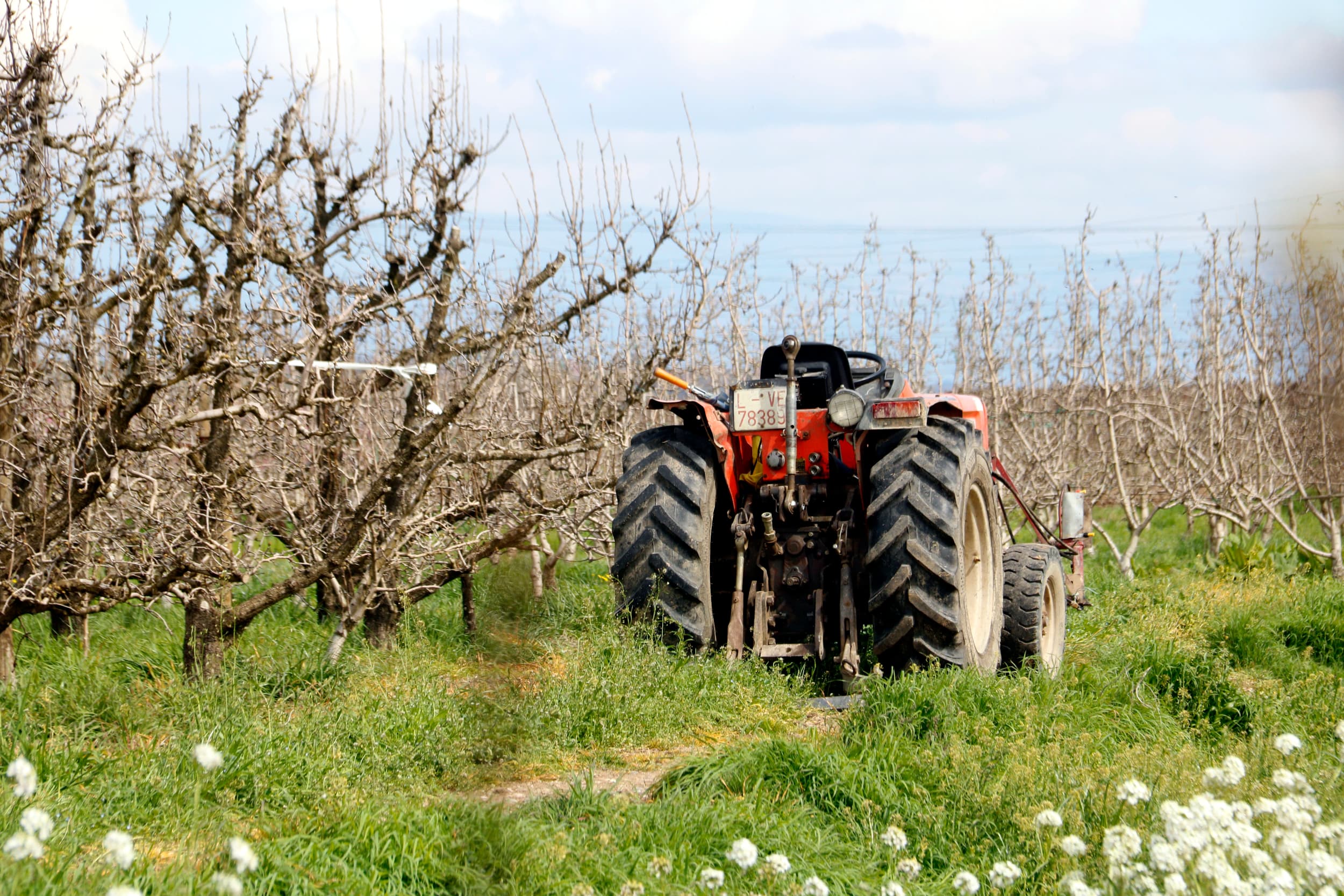 L’encariment del gasoil i els fertilitzants arran de la guerra a l’Orient Mitjà afecta de forma important a la pagesia