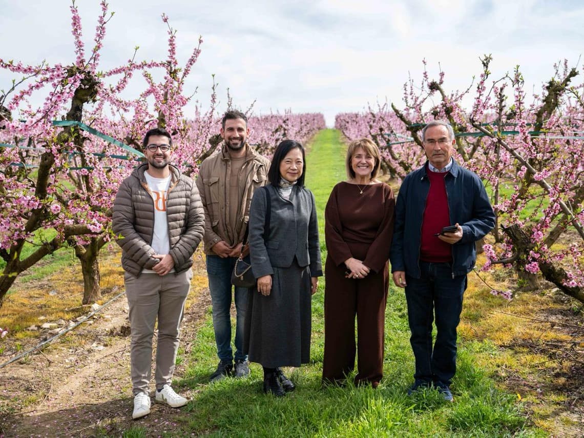 El cònsol del Japó i l’ambaixador de Corea visiten Aitona per conèixer la floració