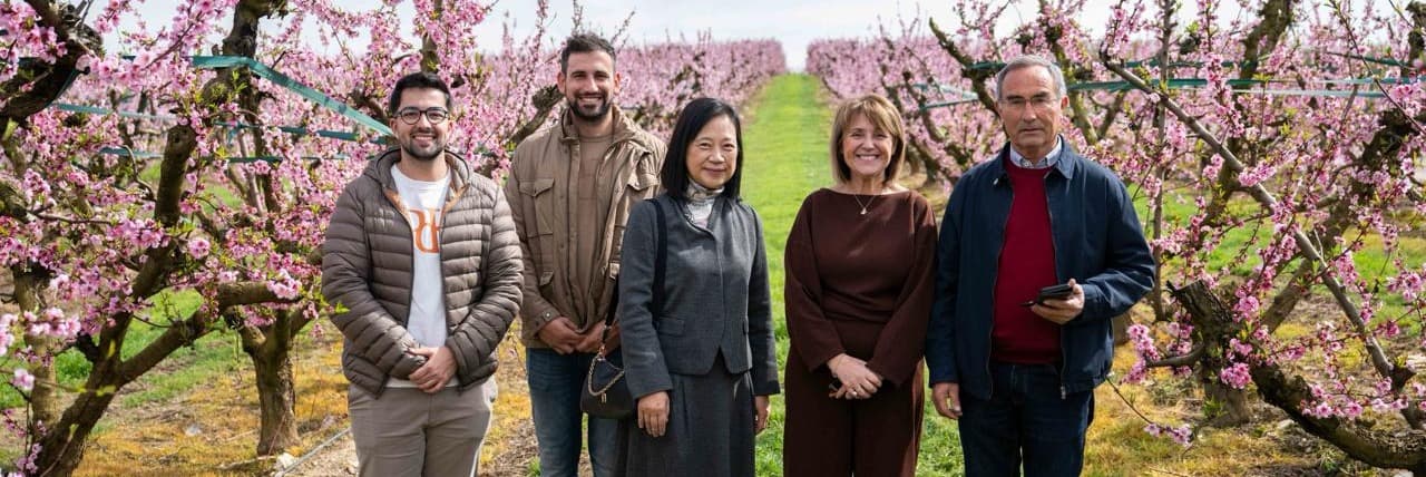El cònsol del Japó i l’ambaixador de Corea visiten Aitona per conèixer la floració