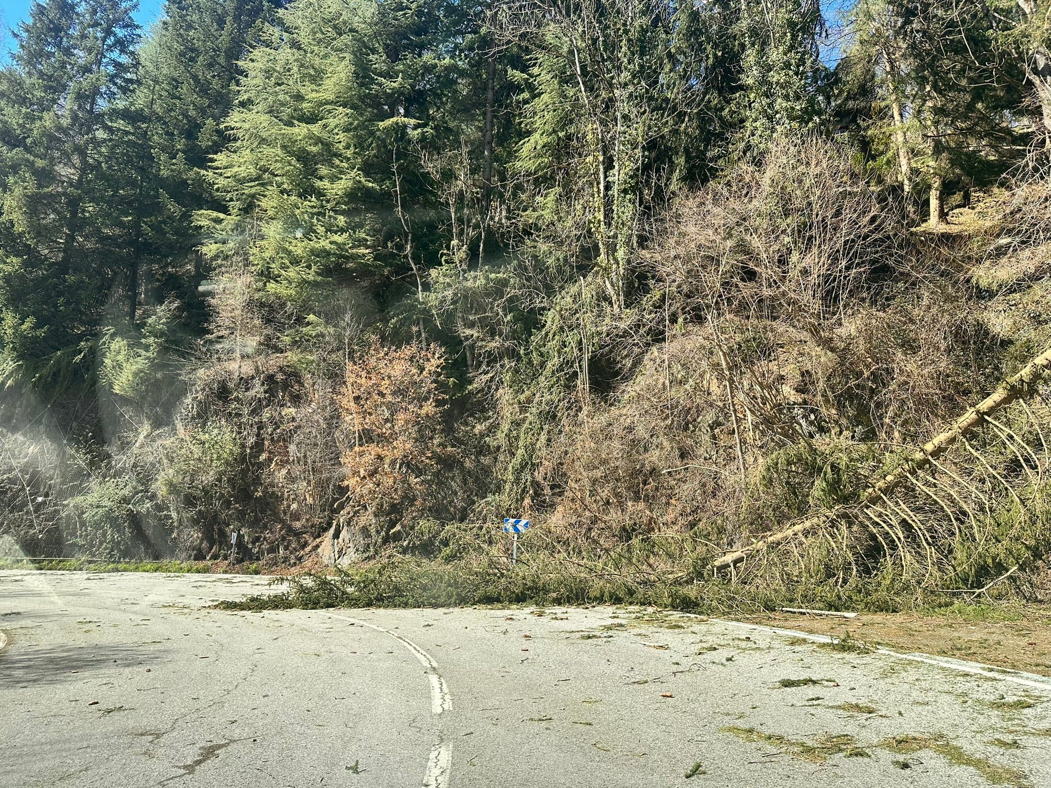 Ratxes superiors als 100 km/h provoquen una seixantena d’incidències a les comarques de Lleida