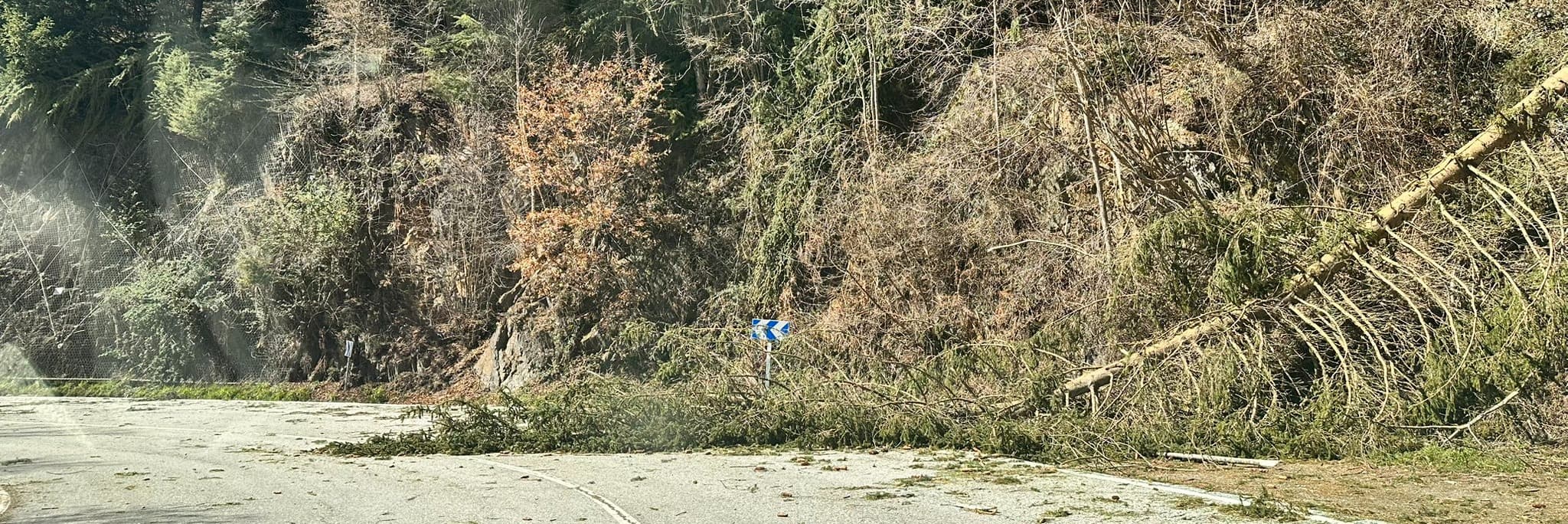Ratxes superiors als 100 km/h provoquen una seixantena d’incidències a les comarques de Lleida