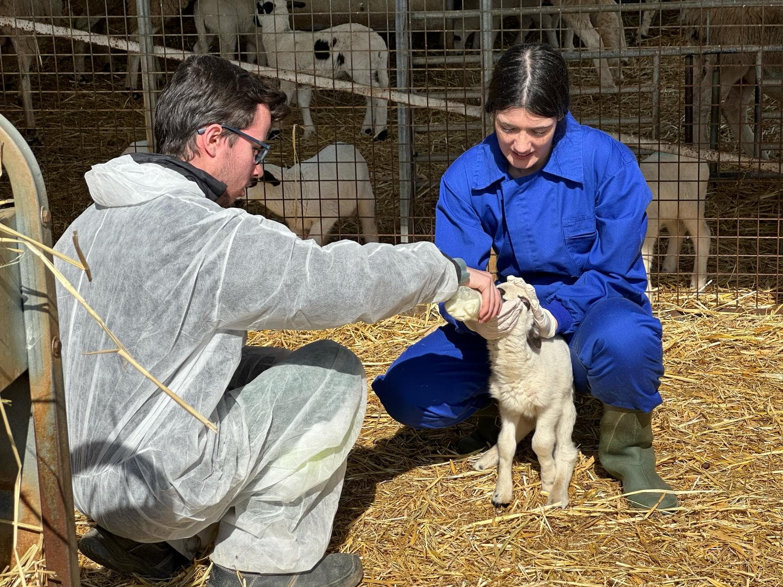 L’Escola Agrària de Tàrrega inicia el segon semestre de Producció Agropecuària en modalitat a distància amb 70 alumnes matriculats