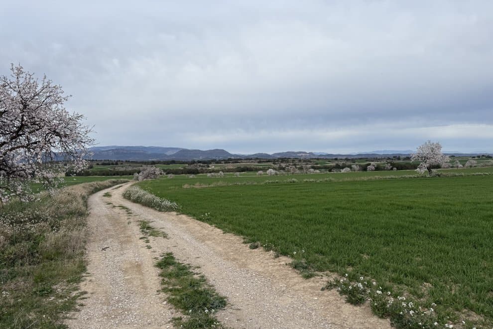 Admeten a tràmit un nou recurs contra la planta de biogàs de la Sentiu de Sió