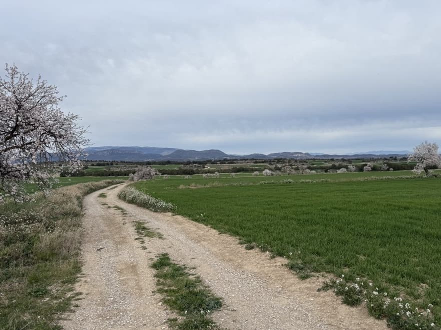 Una setantena de propietaris agrícoles de la Sentiu de Sió demanen l’aturada de l’eco-concentració parcel·lària del secà