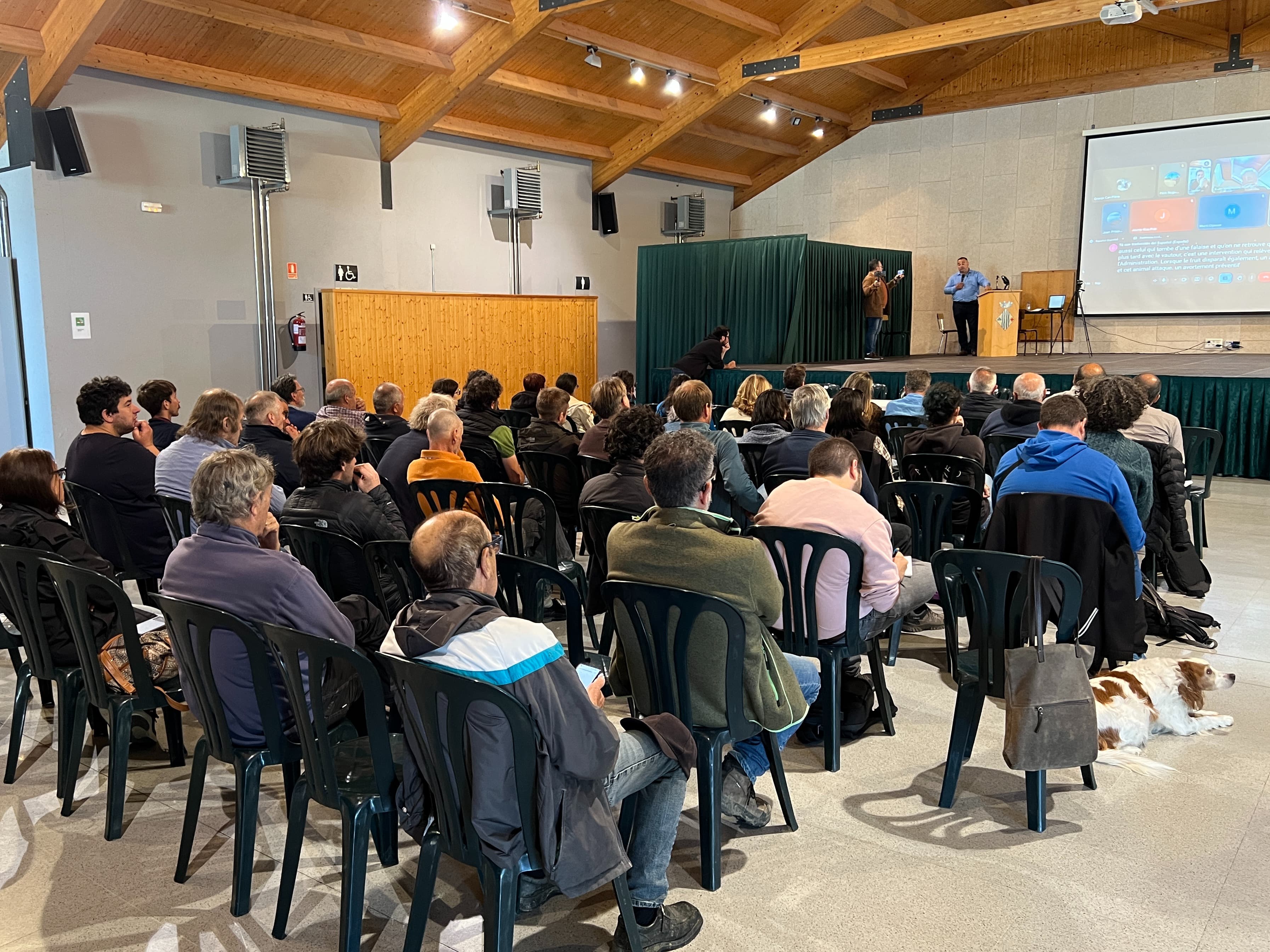 Els ramaders reclamen mesures "eficients" per fer front a la tornada del llop a Catalunya