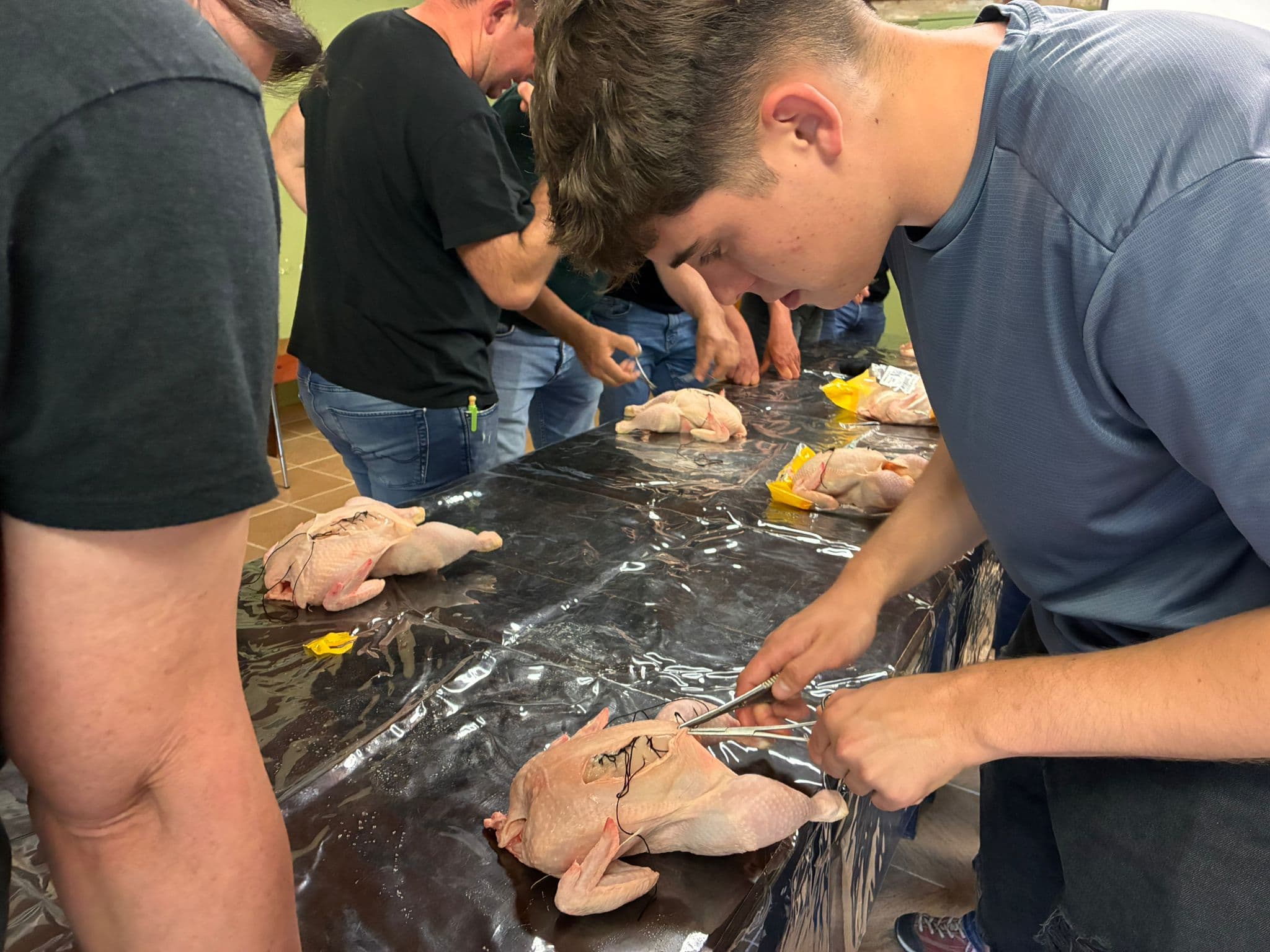 L'Escola Agrària del Pallars forma ramaders en cures veterinàries per poder actuar davant situacions d'emergència