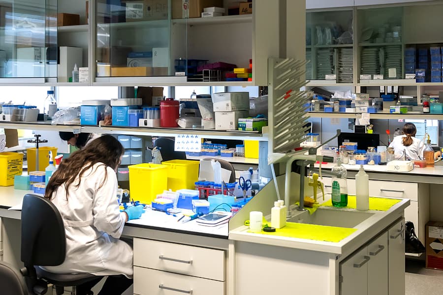 Una setantena d’investigadores de la UdL són al rànquing de les dones més destacades que fan recerca a l’Estat espanyol