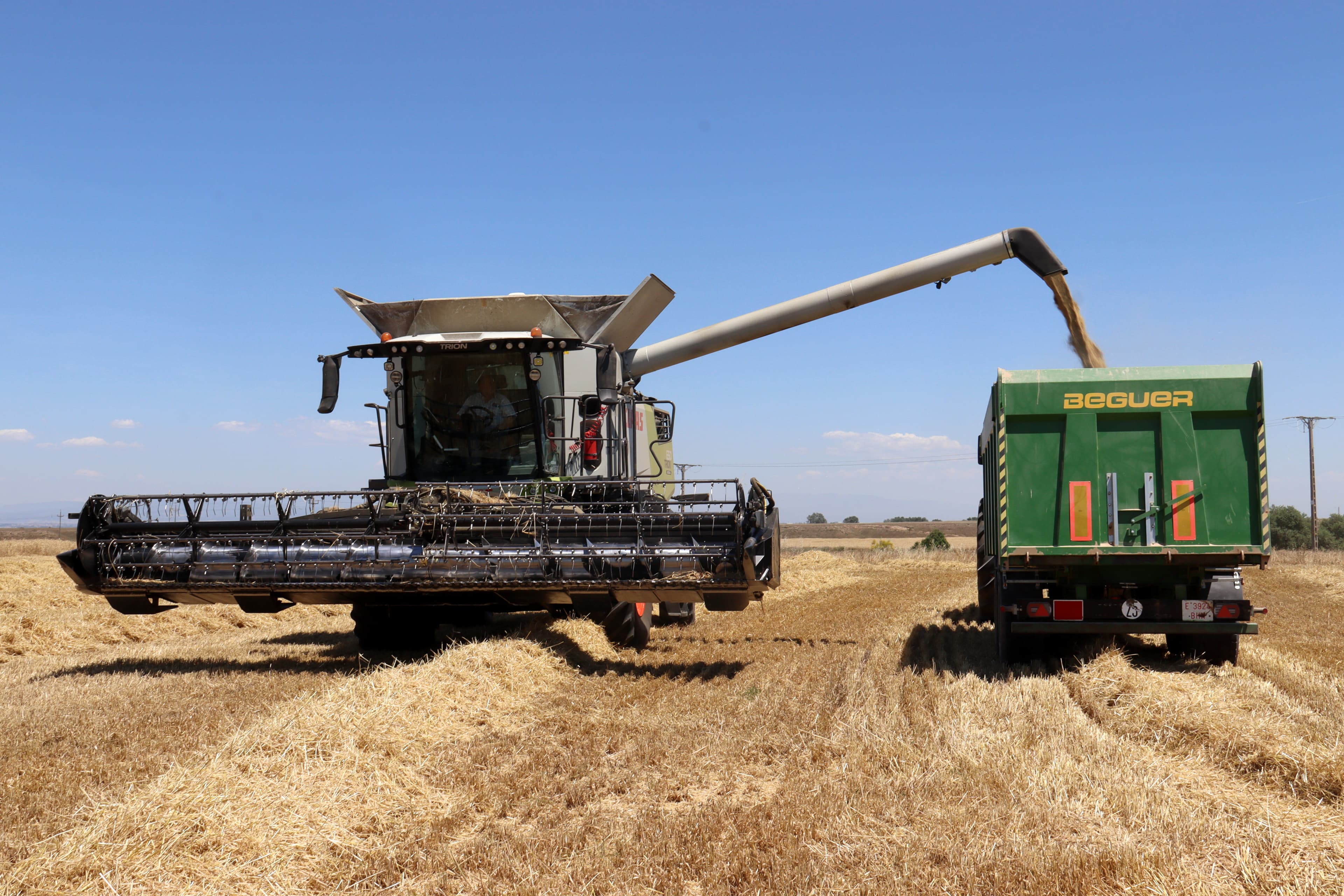 La campanya del cereal a Ponent s’accelera a causa de les elevades temperatures