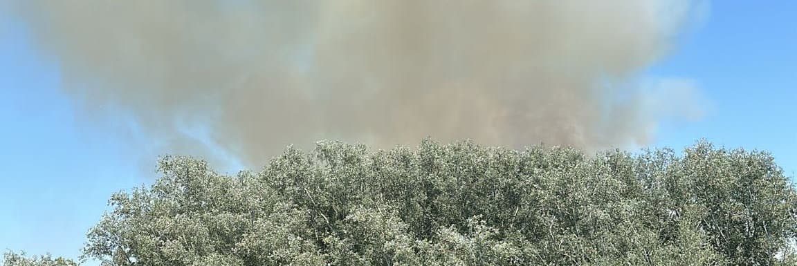 Investiguen les causes de l'incendi de 4 hectàrees al parc de la Mitjana de Lleida