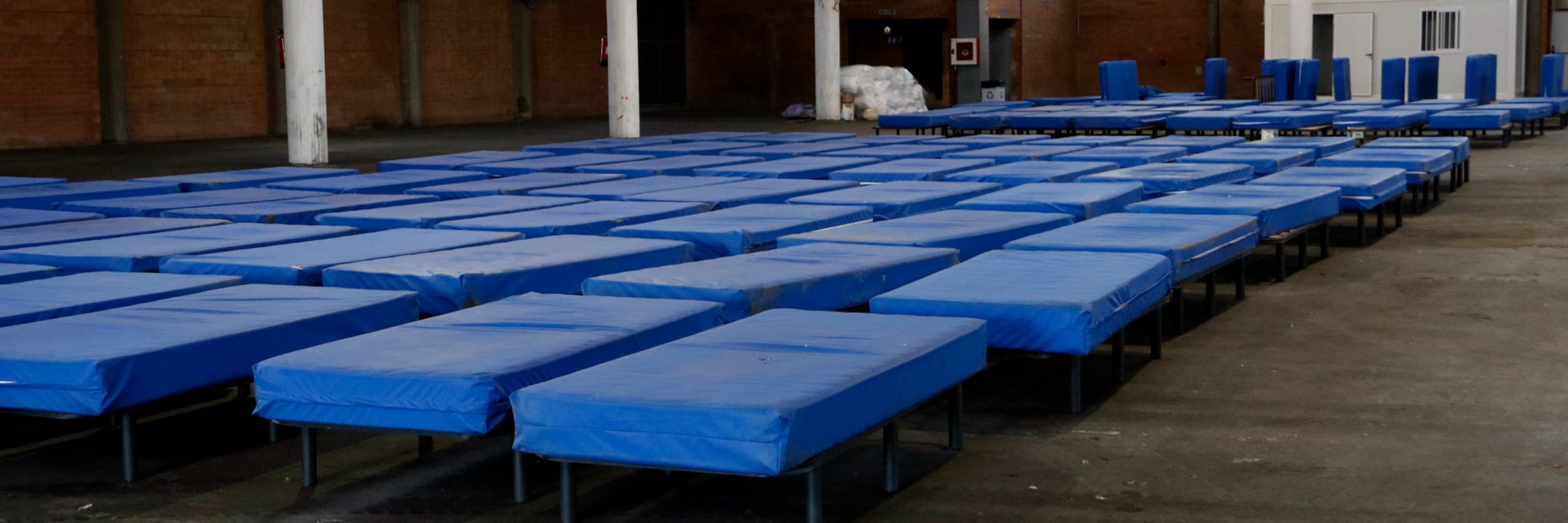 Lleida preveu atendre menys persones sense papers que volen treballar a la campanya agrària gràcies a la regularització