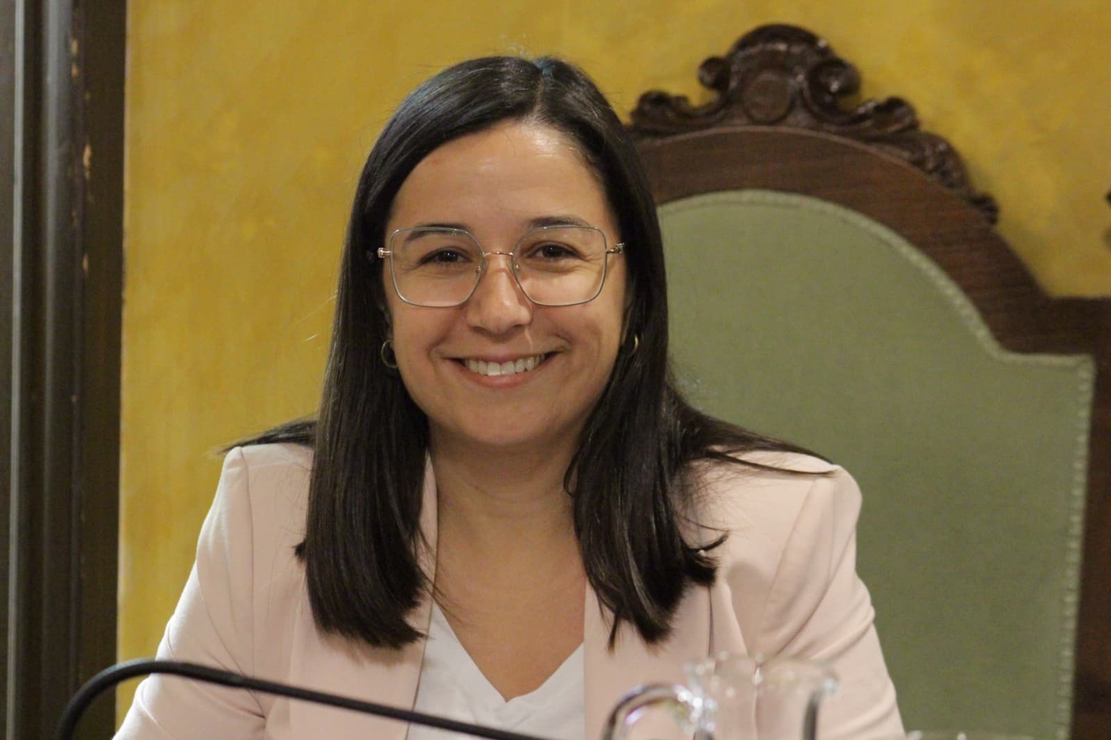 Esquerra porta al ple una moció per reforçar el català a la Franja de Ponent i defensar els drets lingüístic