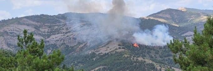 Una vintena de dotacions dels Bombers treballen en les tasques d'extinció d'un foc forestal a Tremp