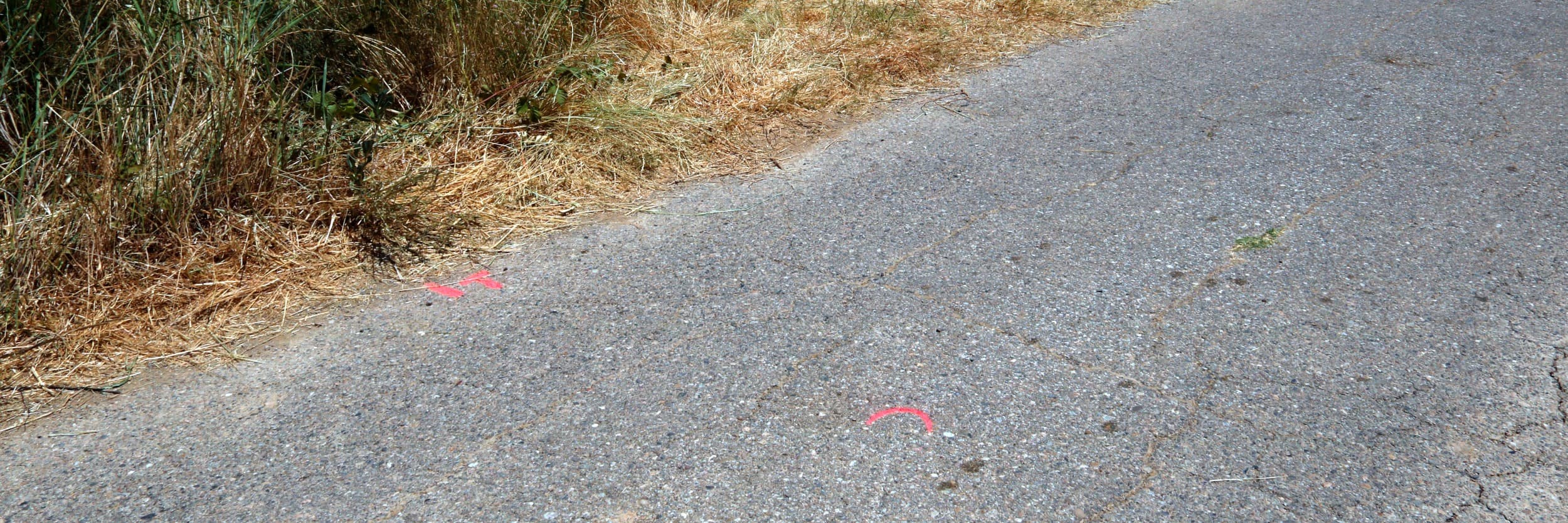 El menor acusat d'atropellar mortalment l'usuari d'un patinet a l'Horta de Lleida queda en llibertat vigilada
