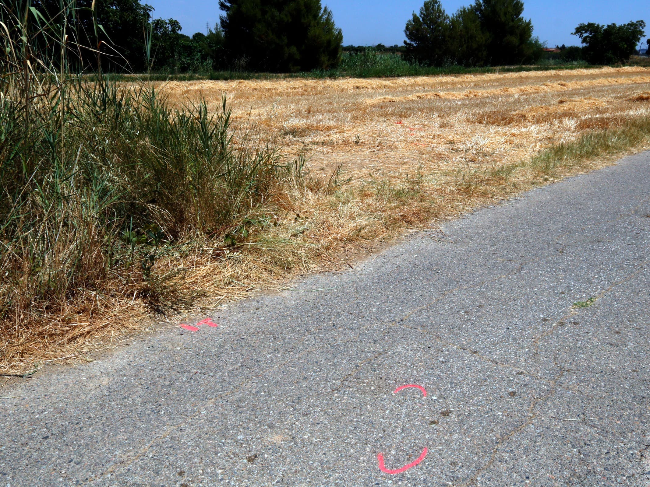 El menor acusat d'atropellar mortalment l'usuari d'un patinet a l'Horta de Lleida queda en llibertat vigilada