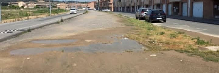 El PP a Alpicat denuncia “l’estat de deixadesa” de l’avinguda del Parc