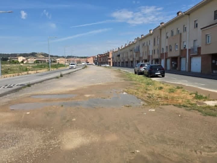 El PP a Alpicat denuncia “l’estat de deixadesa” de l’avinguda del Parc