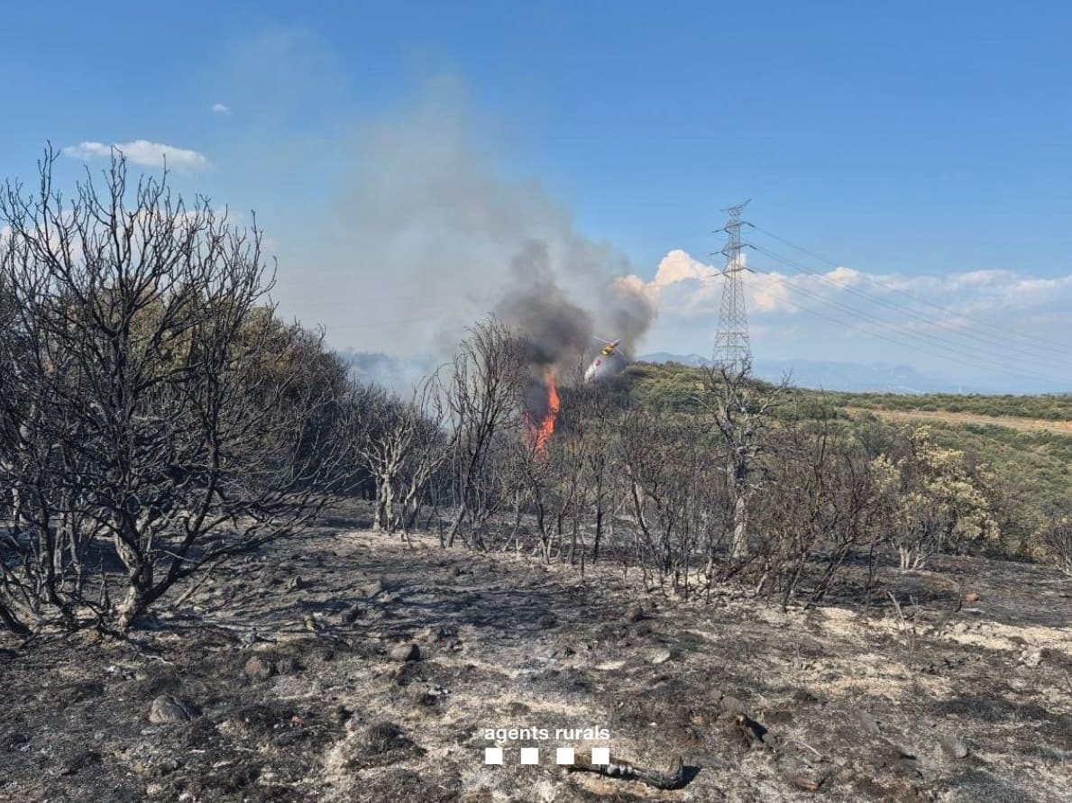 L’incendi forestal d’Artesa de Segre està controlat