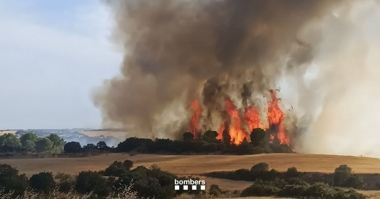 Una represa a l'incendi de Guimerà obliga a confinar 21.000 persones entre Tàrrega i els municipis de l'entorn