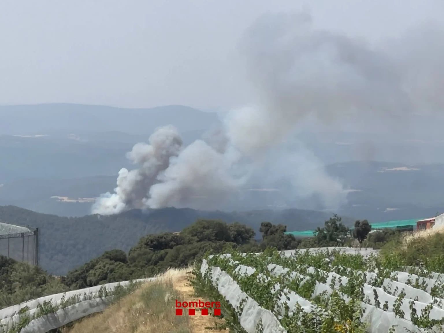 Els Bombers estabilitzen el foc de Lladurs, al Solsonès, que ha afectat 2 hectàrees de superfície vegetal