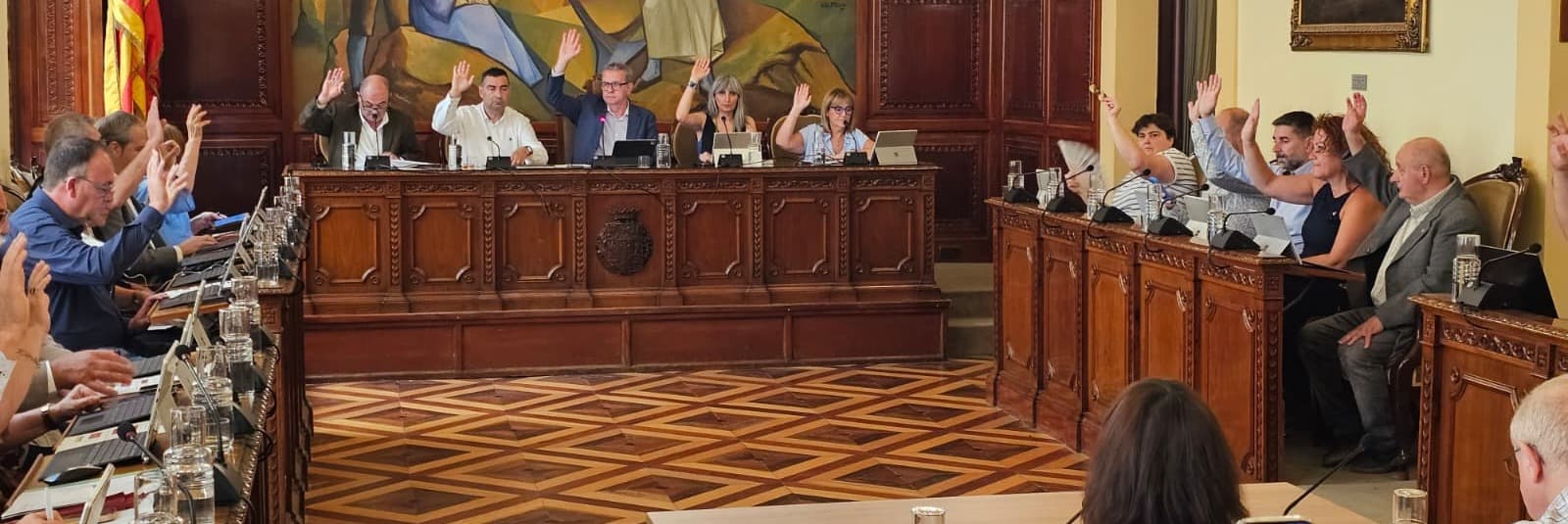 El Ple de la Diputació de Lleida fa un clam unànime per a la revisió del PLATER