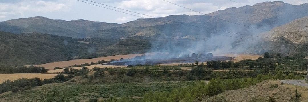 Els Bombers treballen per extingir un incendi agrícola a tocar de la C-1311, a Tremp