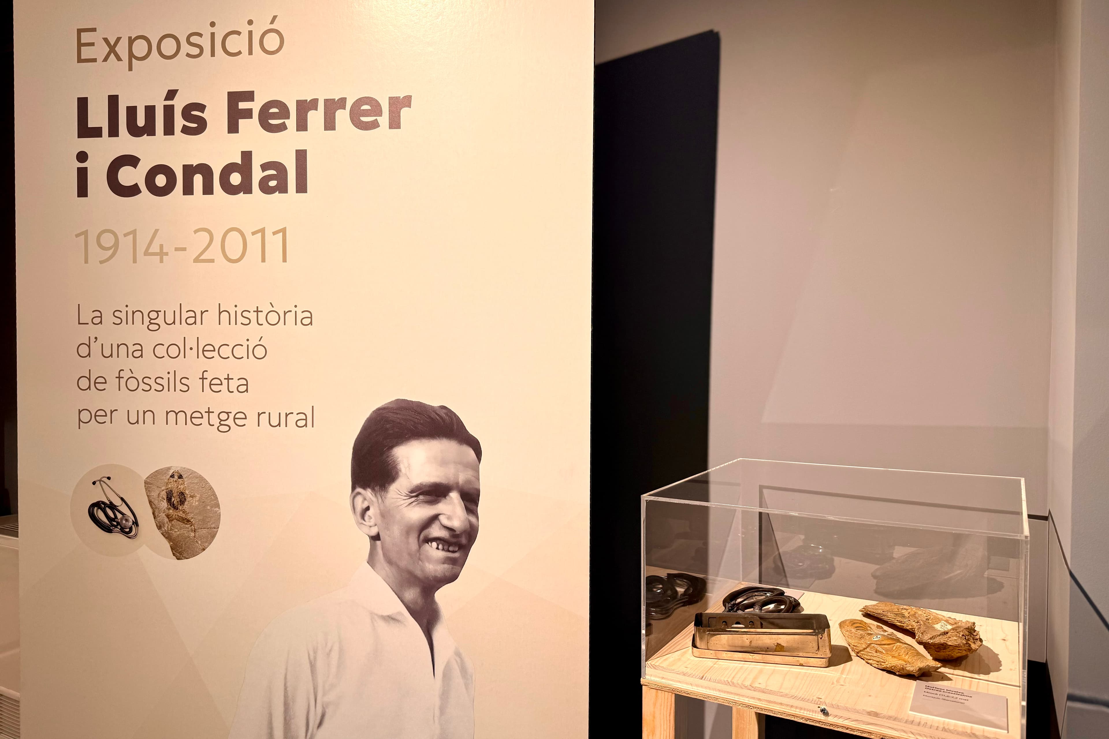 El Museu d'Isona exposa una col·lecció de fòssils feta per un metge rural amb més de 3.000 exemplars