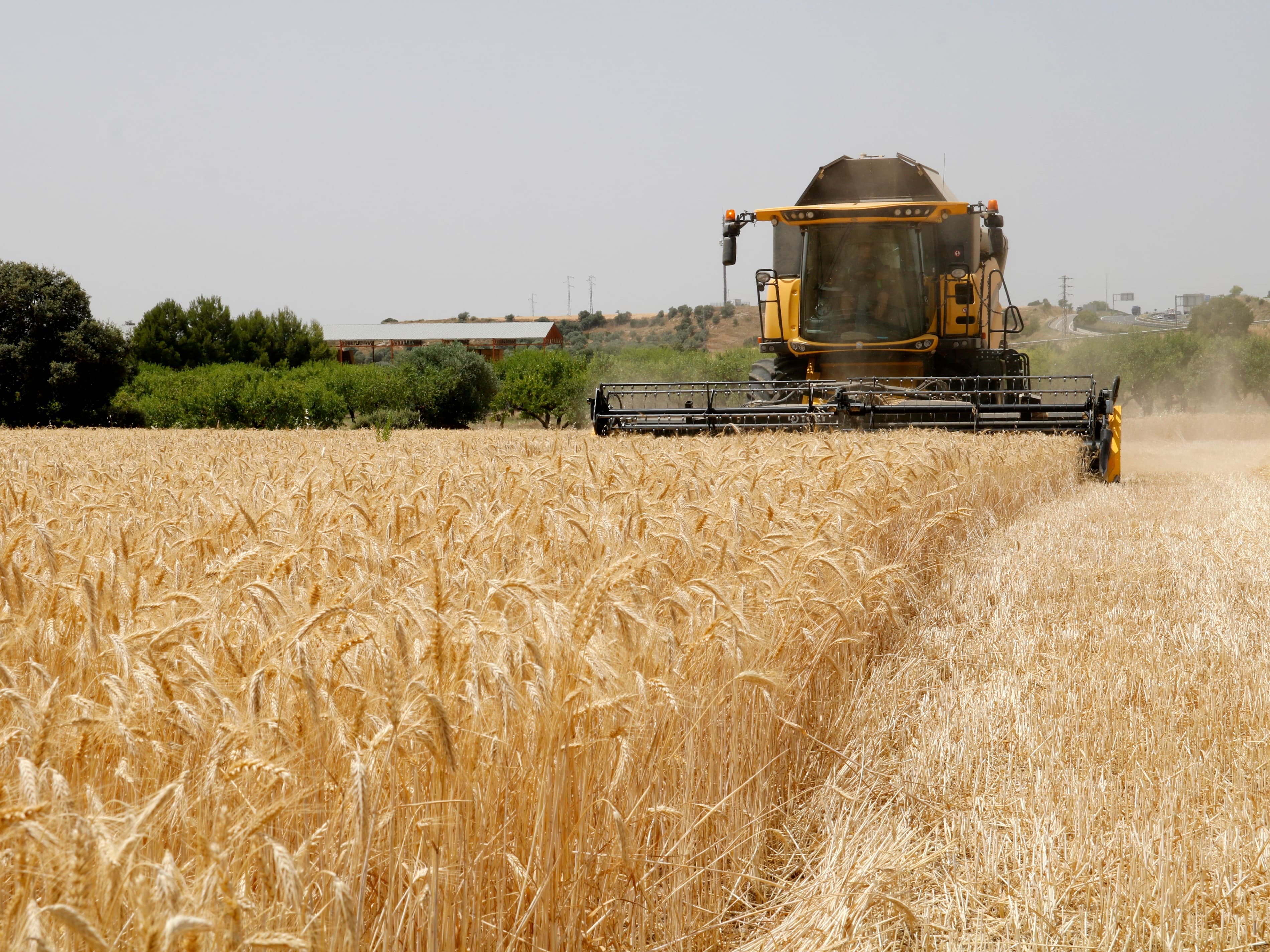 El govern espanyol abonarà 27,3 milions d’euros a agricultors catalans en ajudes per comprar fertilitzants