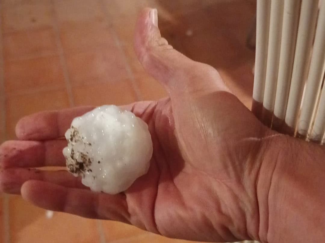 La tempesta d’aquesta nit deixa pedregades de fins a 7cm a Raimat