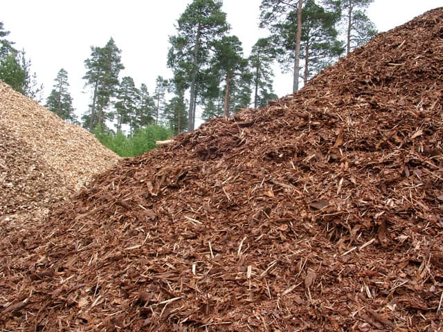 El consum de biomassa forestal augmenta un 19% el 2025, fins a 652.500 tones