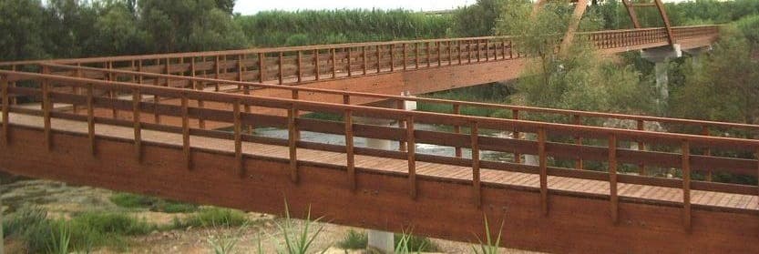 ERC a Lleida proposa un protocol permanent per al Camí del Riu