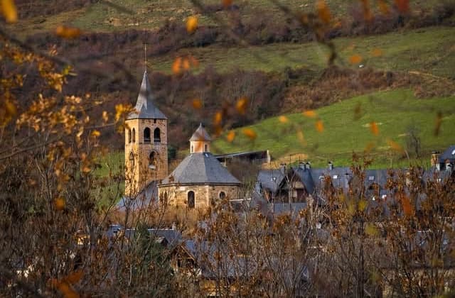 El Conselh Generau d’Aran actua d’urgència al campanar de Vilac per l’acumulació d’aus