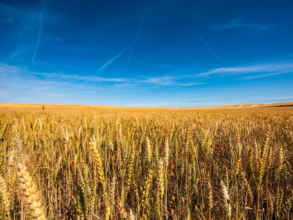 El Departament incrementa en 12 milions d'euros els ajuts a les assegurances agràries del Pla 2026