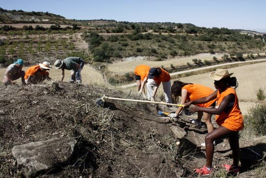 La cooperativa d’iniciativa social Quàlia aglutina uns 400 joves durant l’estiu