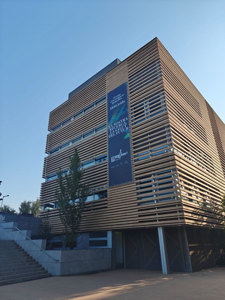 Investigadors de l’IRBLleida i la UdL identifiquen una nova funció clau d’una proteïna en el desenvolupament del cervell