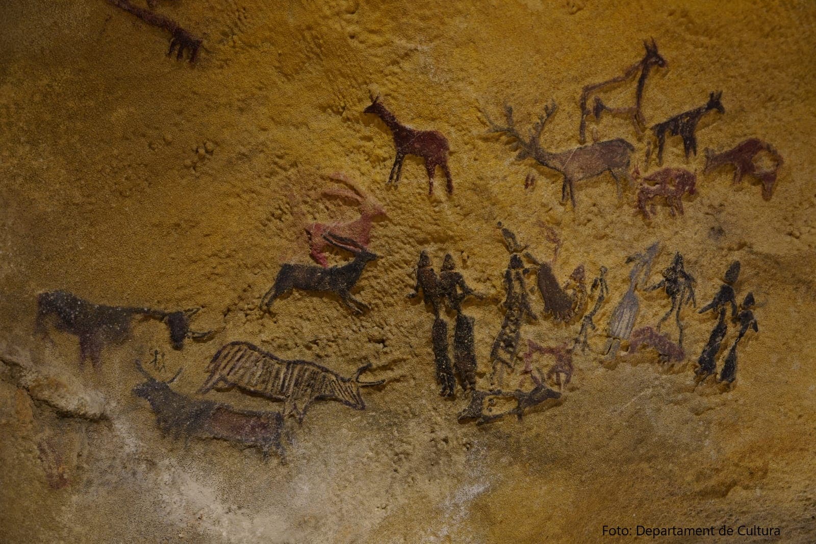 La Roca dels Moros del Cogul torna a reivindicar el seu llegat prehistòric en el Dia de les Pintures