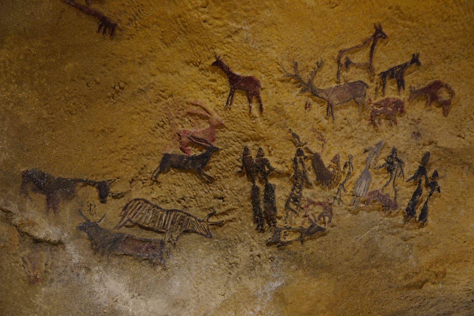 La Roca dels Moros del Cogul torna a reivindicar el seu llegat prehistòric en el Dia de les Pintures