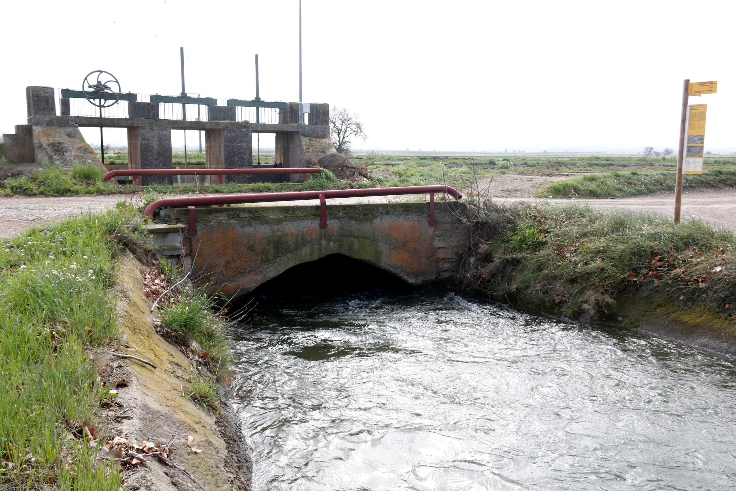 Manifest del Gran Canal s’oposa a les sentències que absolen el canal d'Urgell per la gestió de la sequera