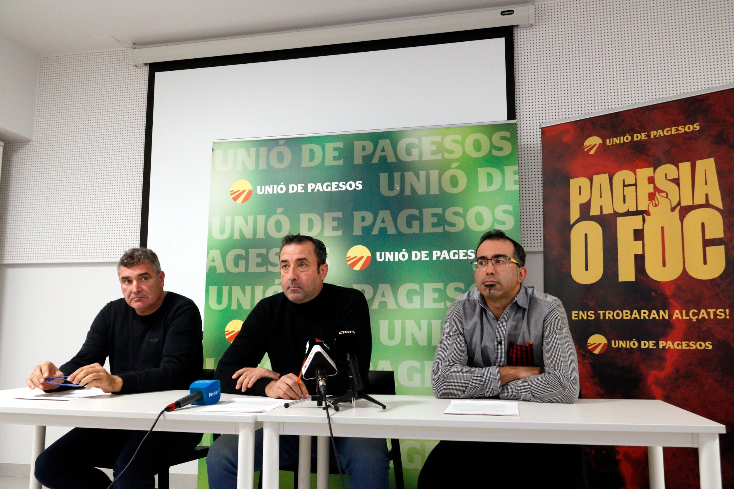 Unió de Pagesos demana ajuts per les pèrdues del cereal, tot i una collita de "rècord"