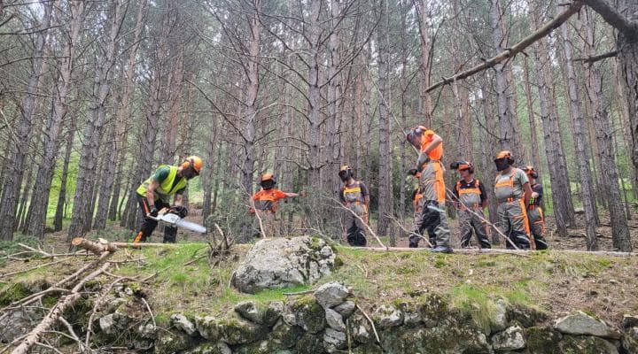 El projecte Bio For Piri gestiona més de 230 hectàrees de bosc amb mètodes de silvicultura naturalística en 2 anys
