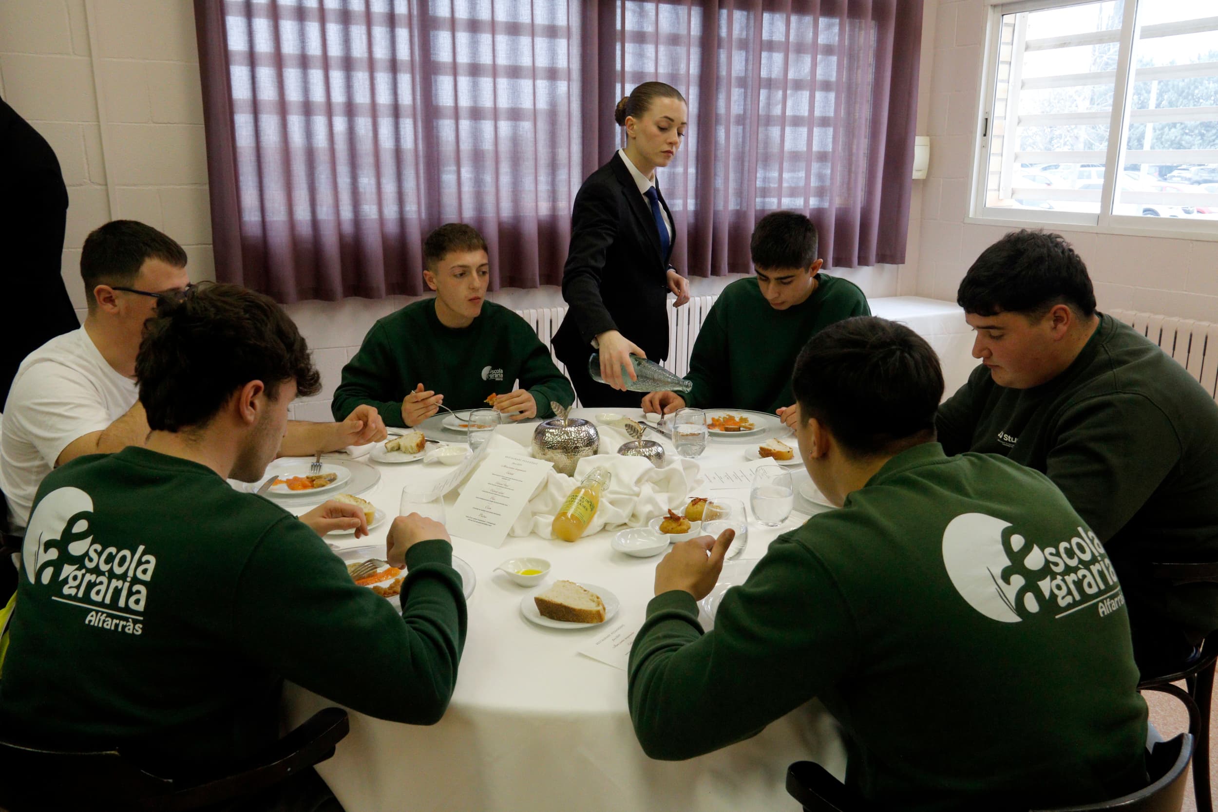 Un projecte de recuperació de pomeres tradicionals uneix estudiants d’agricultura i d’hostaleria a Lleida