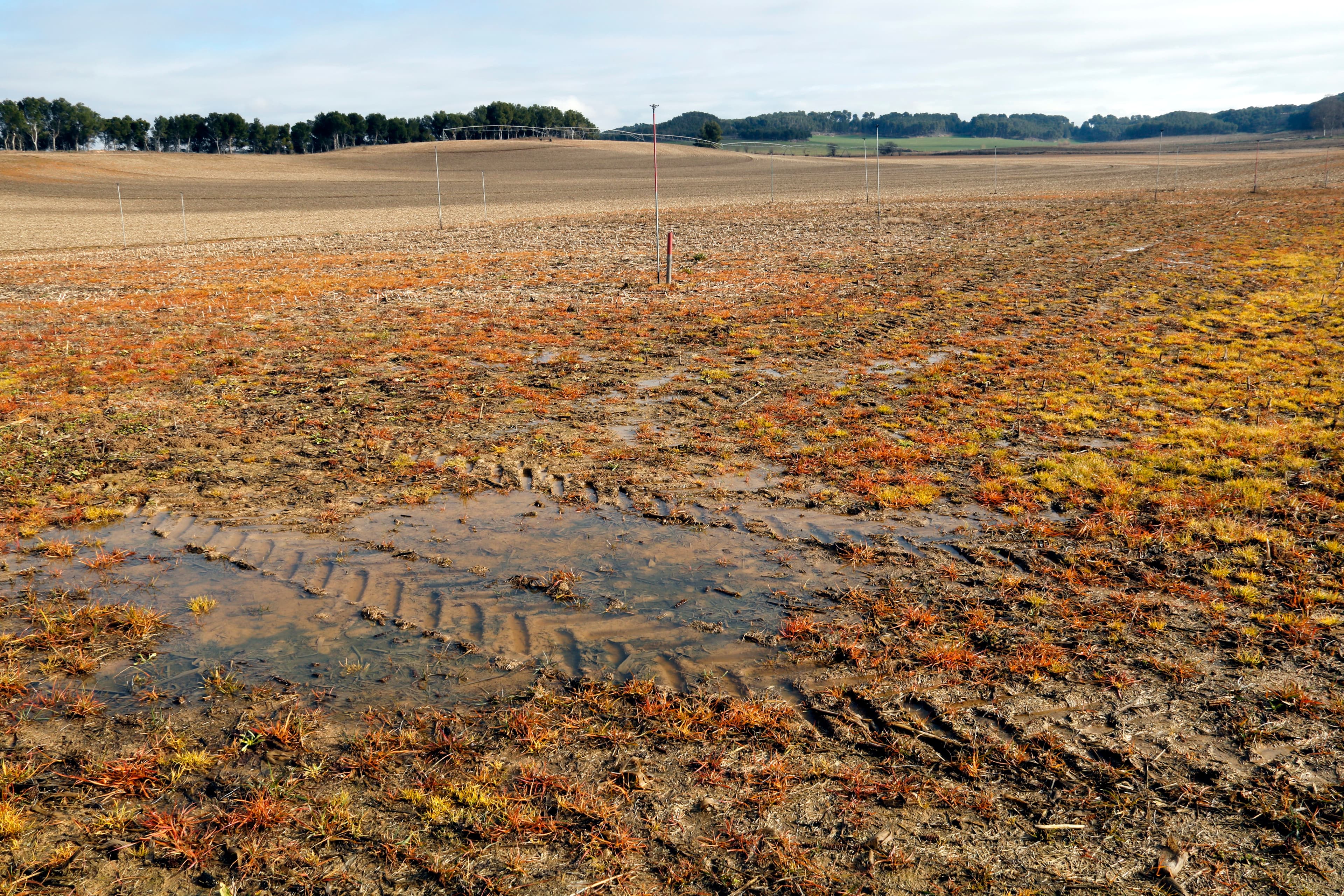 Unió de Pagesos demana que la PAC consideri l'excepcionalitat de les condicions meteorològiques