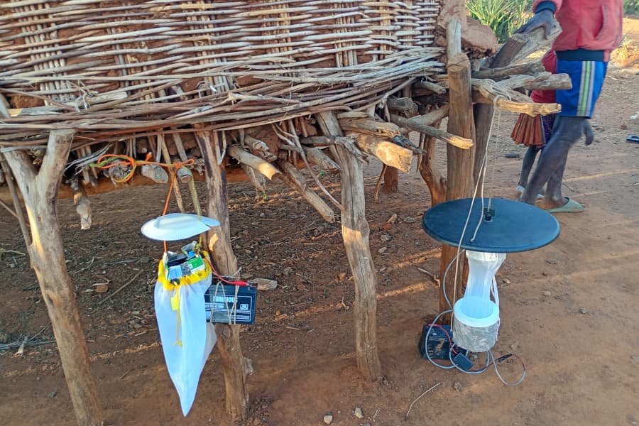 La Udl participa en un projecte de cooperació a Uganda contra la Leishmaniosi visceral