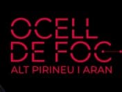 L’entitat Ocell de Foc impulsa una guia pedagògica de sensibilització sobre la salut mental