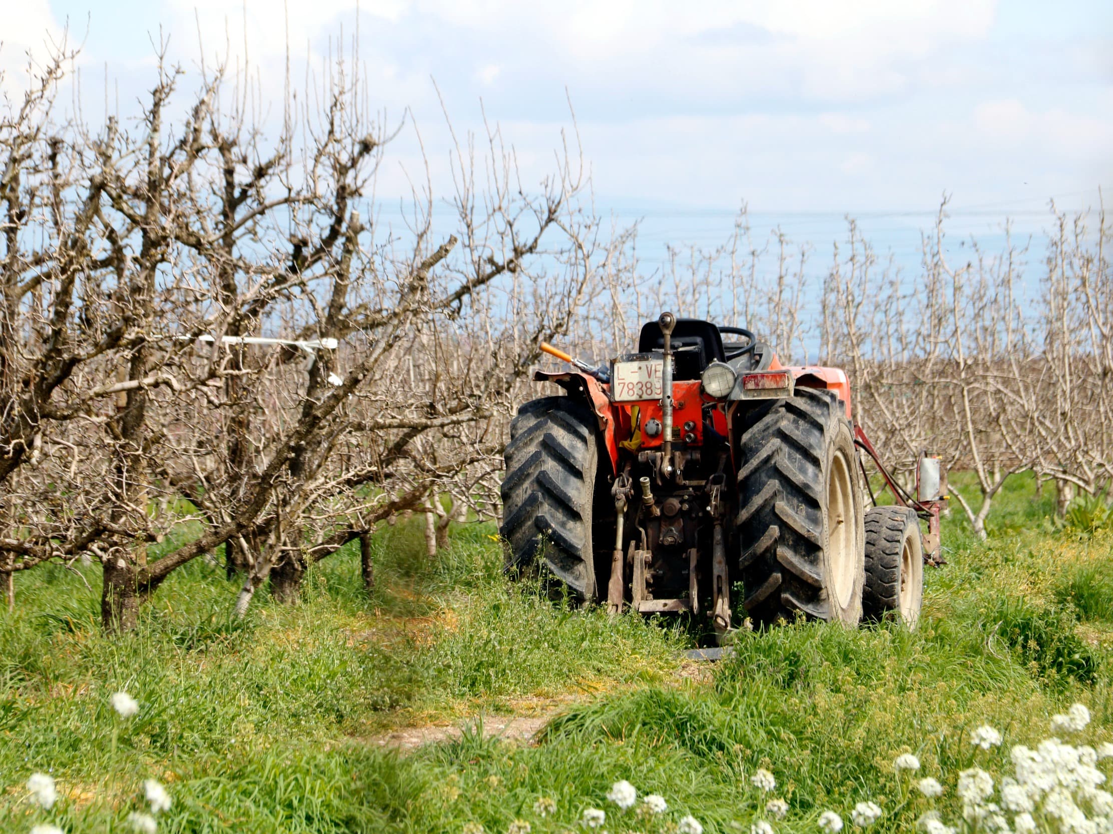 La pagesia reclama fer permanent la rebaixa de l’IVA del gasoil agrari davant la freqüència de les crisis al sector
