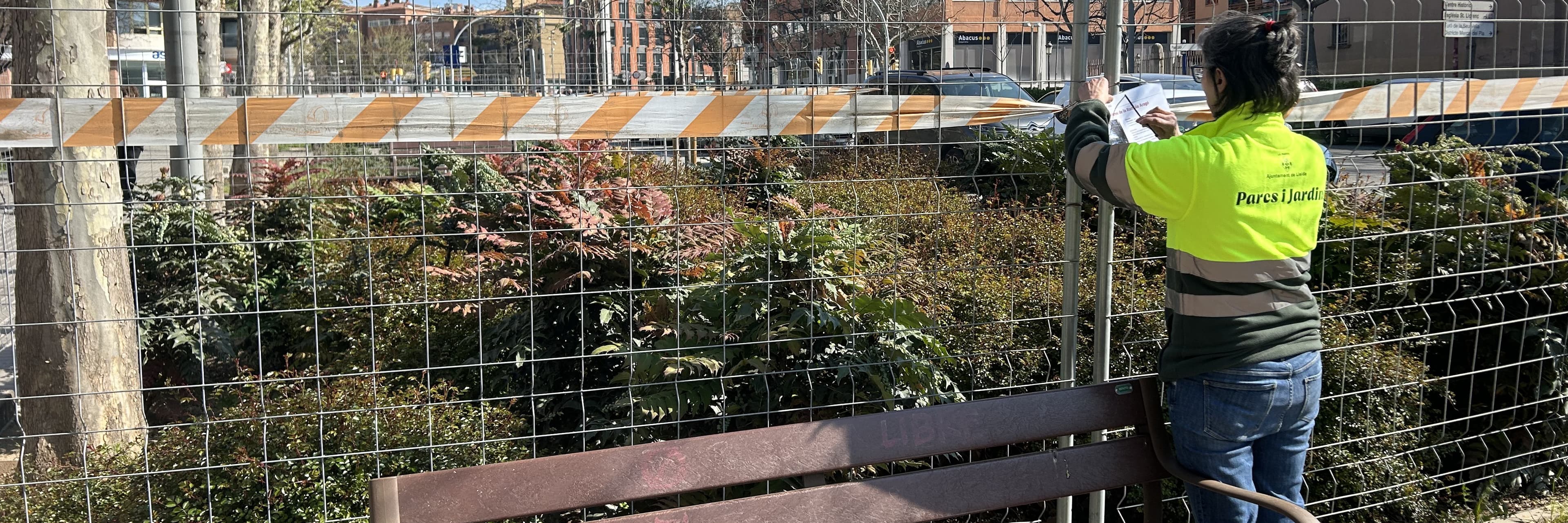 La Paeria inicia l’arranjament dels parterres de la Rambla d’Aragó