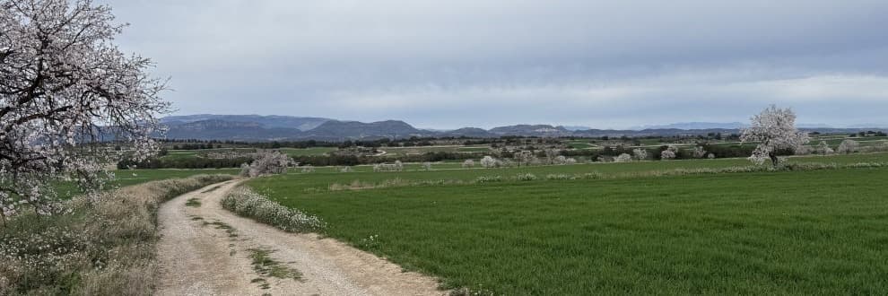 Una setantena de propietaris agrícoles de la Sentiu de Sió demanen l’aturada de l’eco-concentració parcel·lària del secà