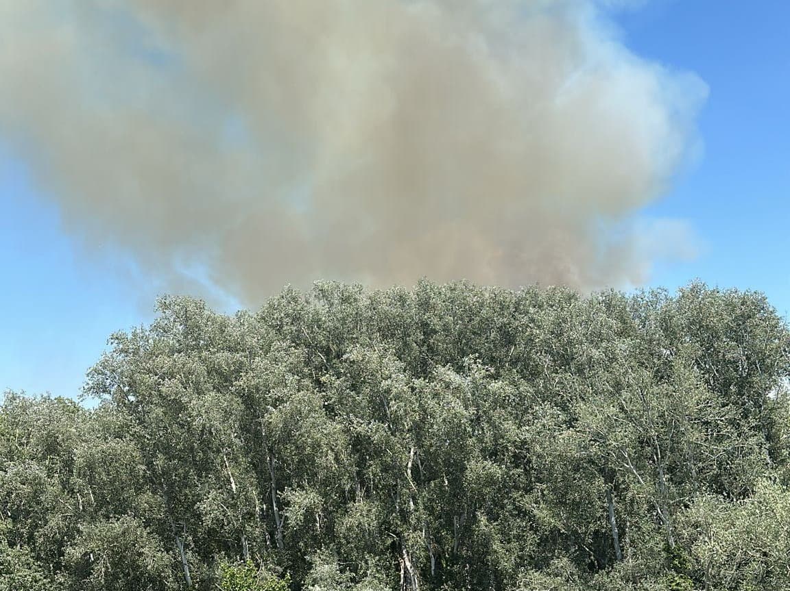 Investiguen les causes de l'incendi de 4 hectàrees al parc de la Mitjana de Lleida