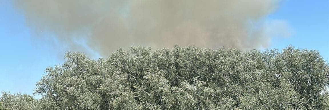 Investiguen les causes de l'incendi de 4 hectàrees al parc de la Mitjana de Lleida