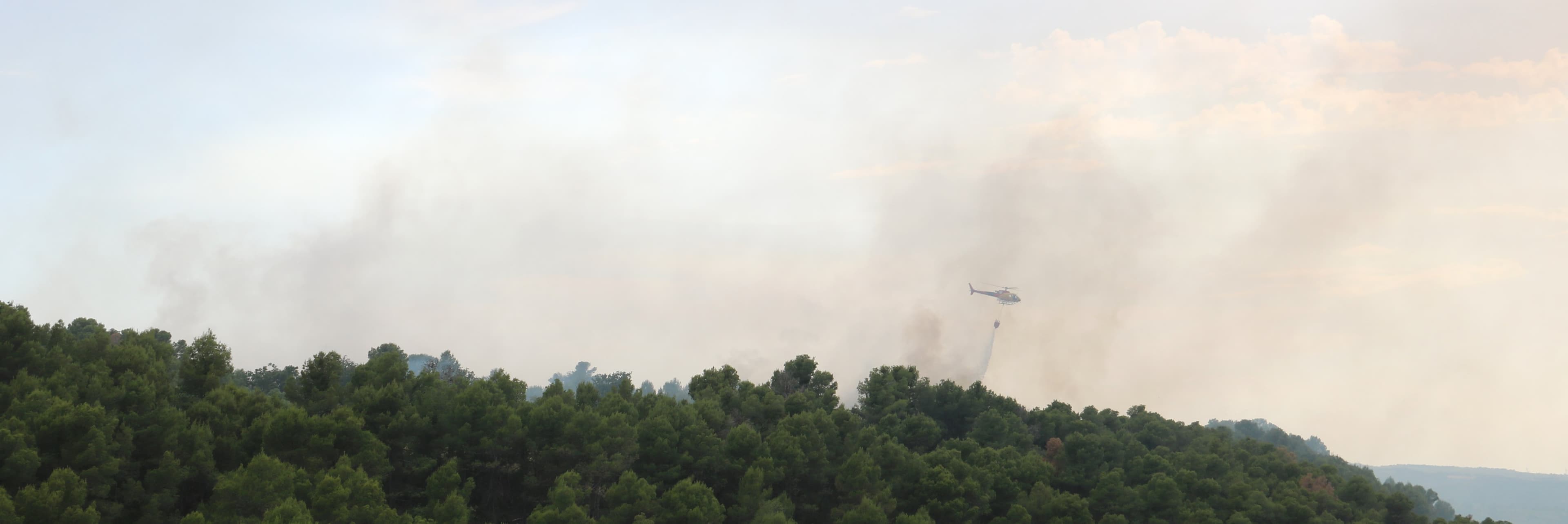 Els Bombers estabilitzen l'incendi de vegetació de Cervià de les Garrigues