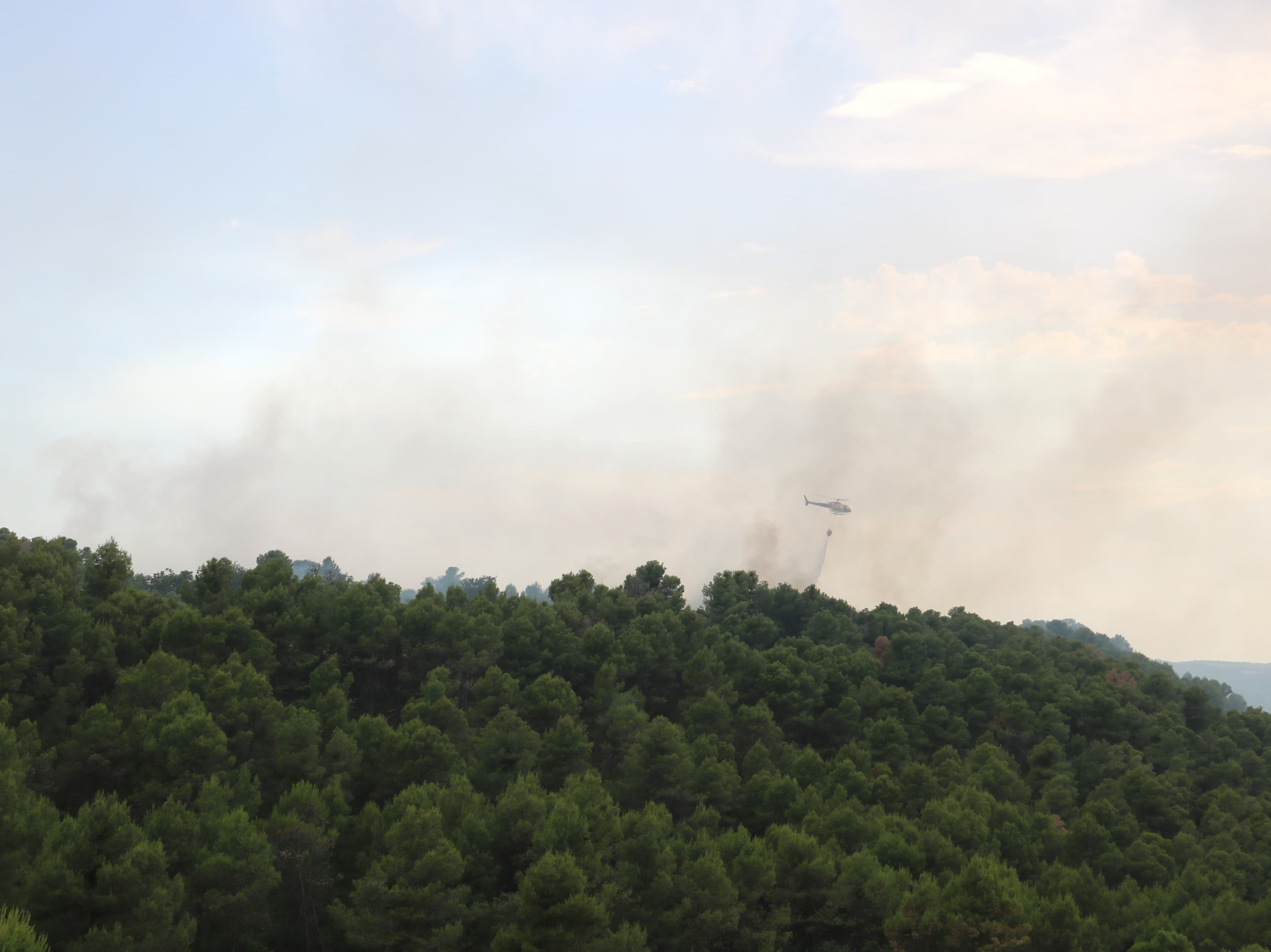 Els Bombers estabilitzen l'incendi de vegetació de Cervià de les Garrigues